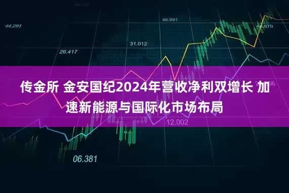 传金所 金安国纪2024年营收净利双增长 加速新能源与国际化市场布局