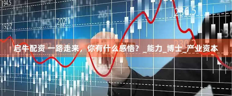 启牛配资 一路走来，你有什么感悟？_能力_博士_产业资本
