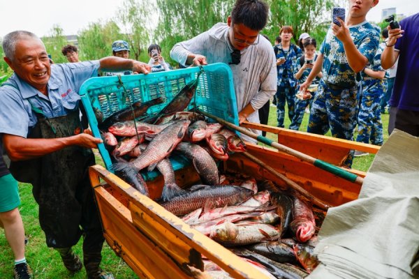 鹰眼策略 庆祝农民丰收节，这所高校现场捕鱼、吃鱼，享受劳动果实！