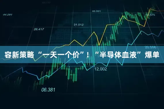 容新策略 “一天一个价”！“半导体血液” 爆单